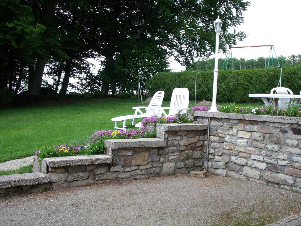 Gite Les Hirondelles Plombières-les-Bains المظهر الخارجي الصورة