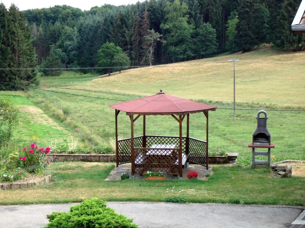 Gite Les Hirondelles Plombières-les-Bains المظهر الخارجي الصورة
